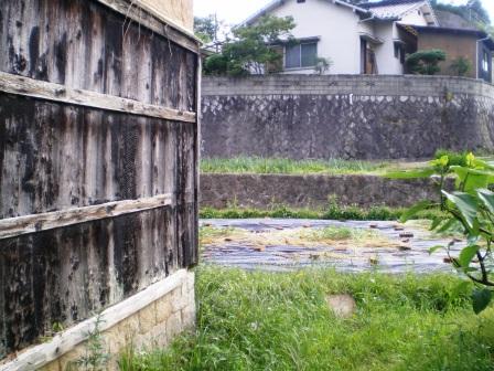 201106_6.jpg