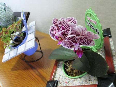 2013.0409_4.jpg