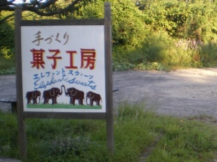 IMGP5545_1.jpg