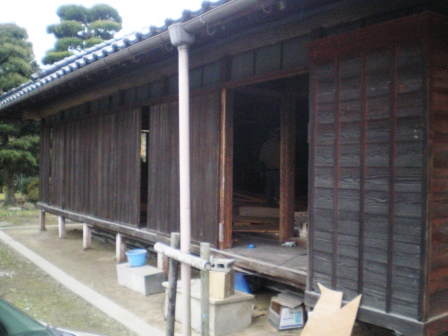 IMGP7231.JPG