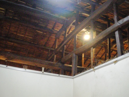 IMGP7236.JPG