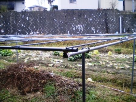 IMGP7238.JPG