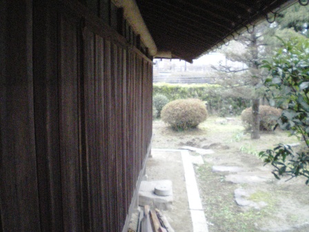IMGP7242.JPG