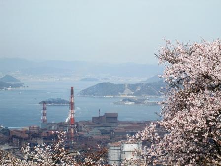 2013.0401_4.jpg