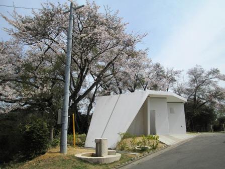 2013.0401_8.jpg